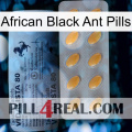 African Black Ant Pills 44